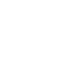 Next Day Icon